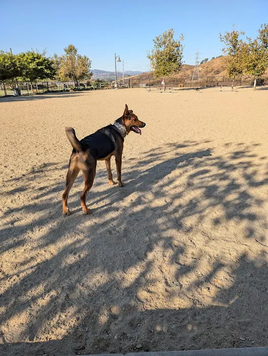 Golden Valley Dog Park 9
