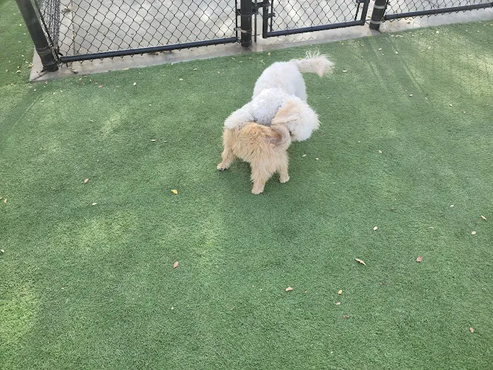 Golden Valley Dog Park 8