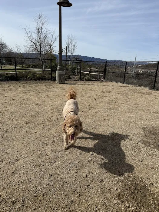 Golden Valley Dog Park 6