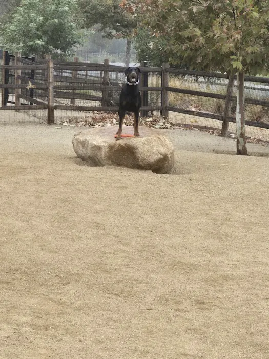 Dogwood Gated Community Dog Park 1