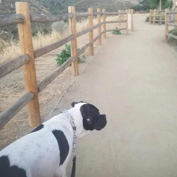 Dogwood Gated Community Dog Park 7