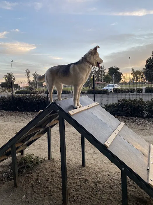 College Dog Park 3