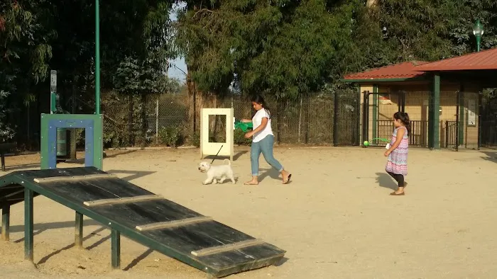 College Dog Park 10