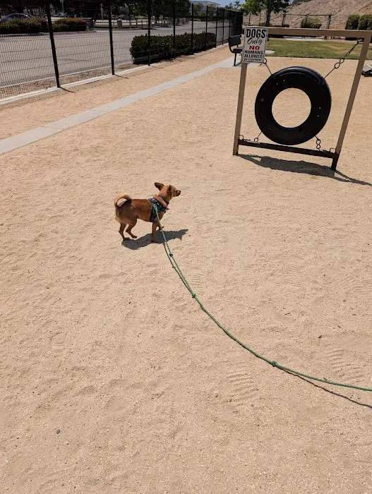 College Dog Park 5