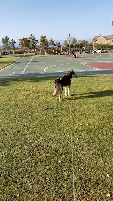 Windrow Off-leash Dog Park 1