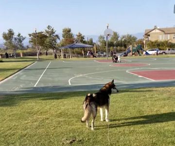Windrow Off-leash Dog Park