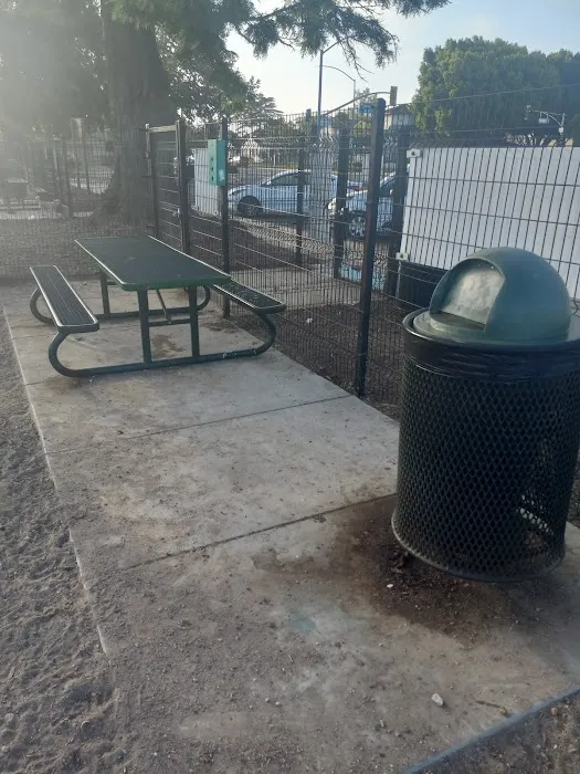 Dog Park 10