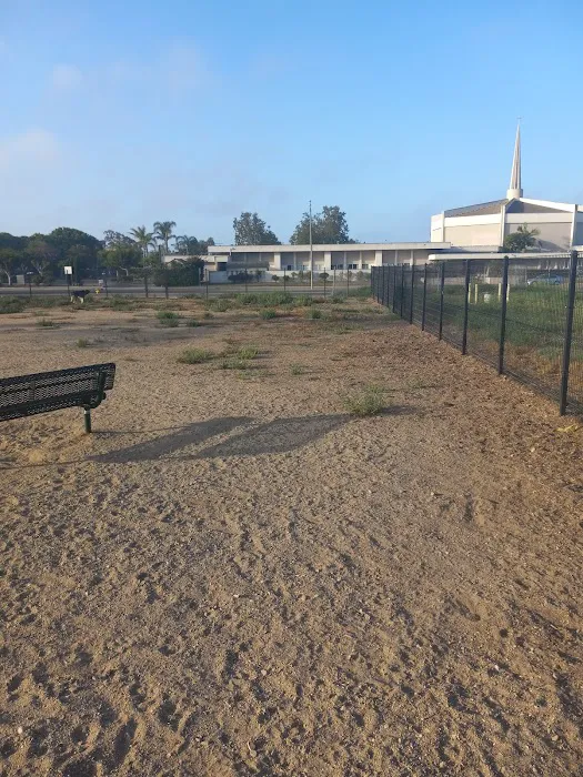Dog Park 7