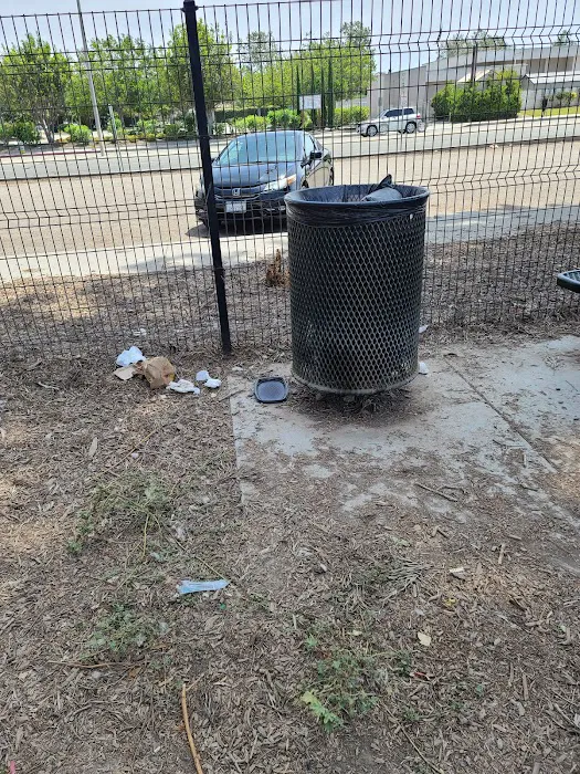 Dog Park 6