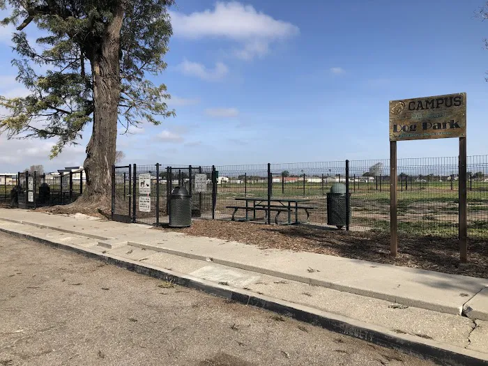Dog Park 4