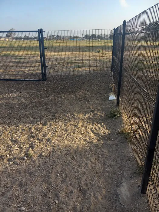 Dog Park 8