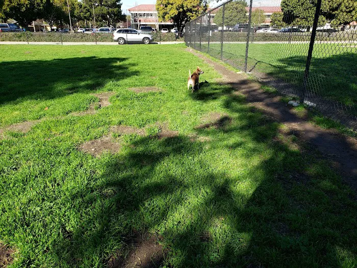 Port Hueneme Naval Base Dog Park 4