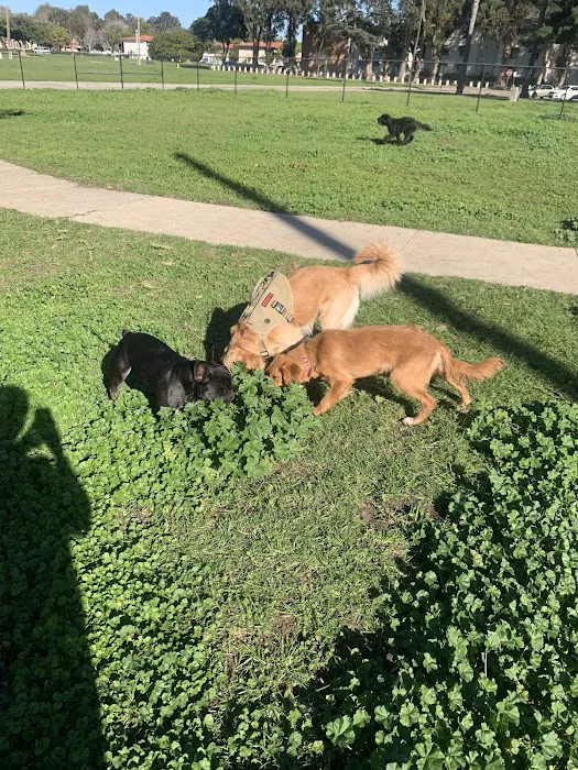 Port Hueneme Naval Base Dog Park 3