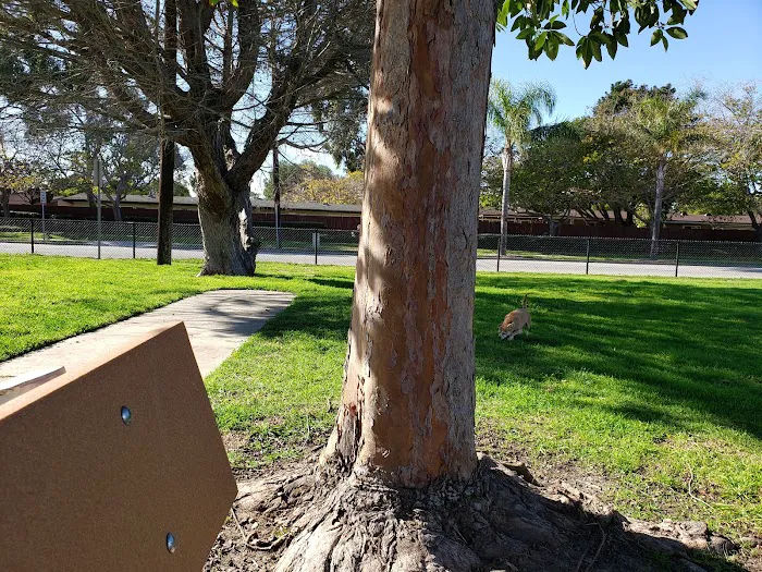 Port Hueneme Naval Base Dog Park 9