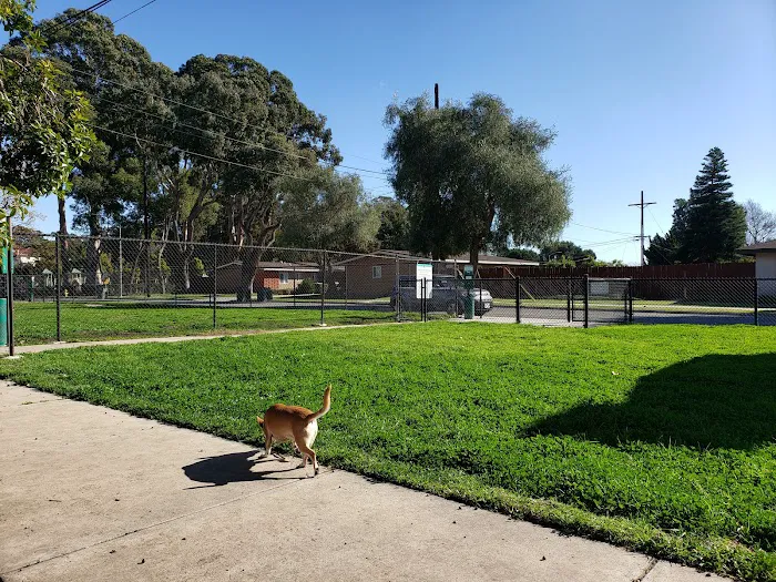 Port Hueneme Naval Base Dog Park 8