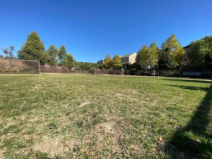 Solana Heights Dog Park 9