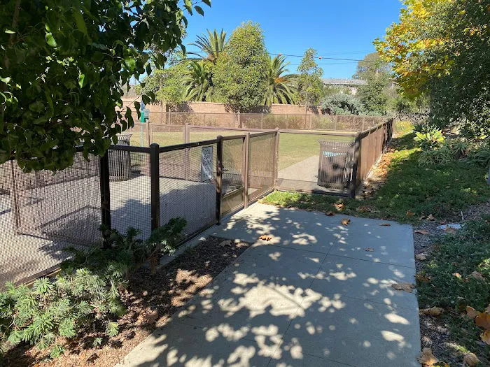 Solana Heights Dog Park 5