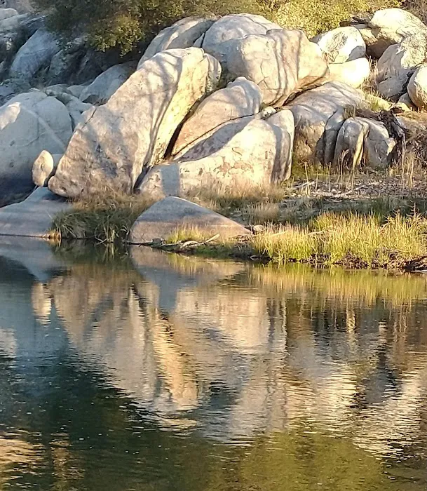 Mitchell Edelson Dog Park 9