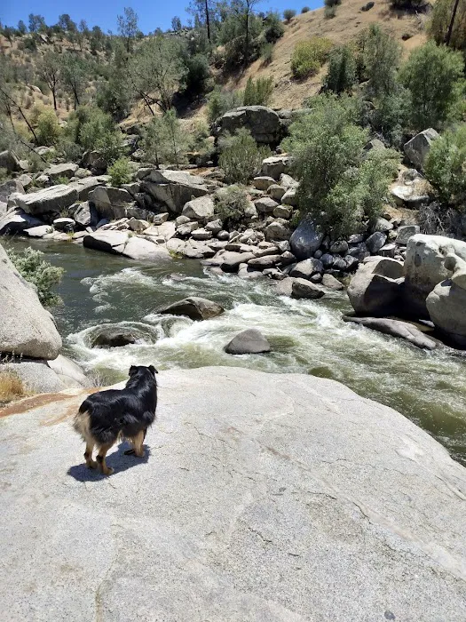 Mitchell Edelson Dog Park 7