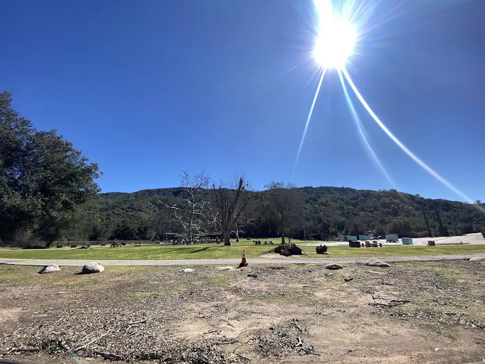 Mitchell Edelson Dog Park 8