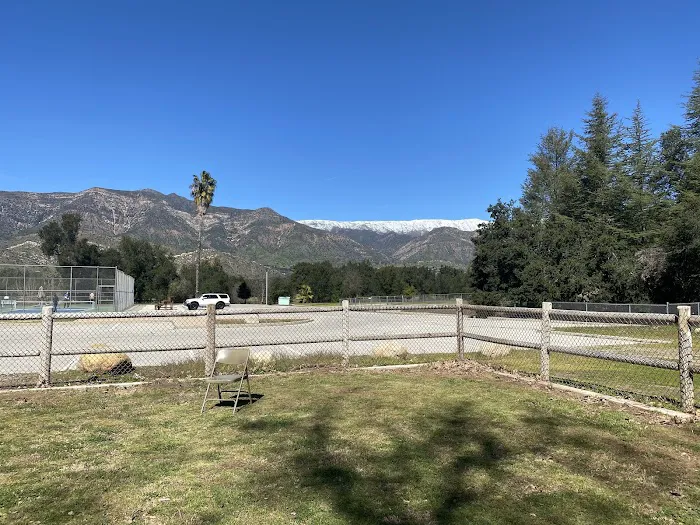 Mitchell Edelson Dog Park 5