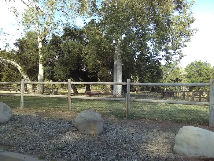 Mitchell Edelson Dog Park 10