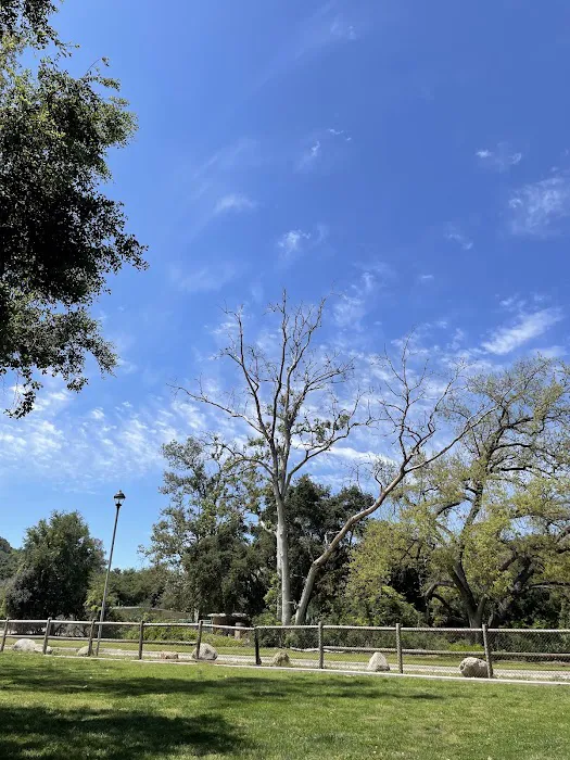 Mitchell Edelson Dog Park 4