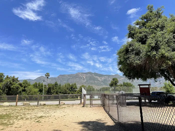 Mitchell Edelson Dog Park 1