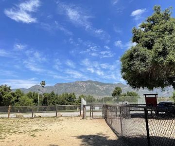 Mitchell Edelson Dog Park