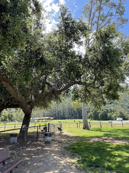 Mitchell Edelson Dog Park 2