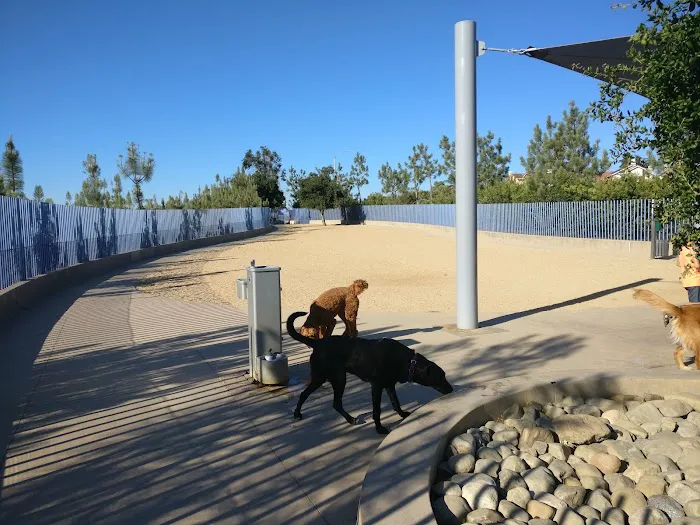 Newport Beach Dog Park 5