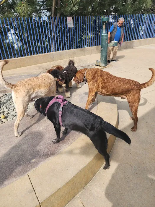 Newport Beach Dog Park 8