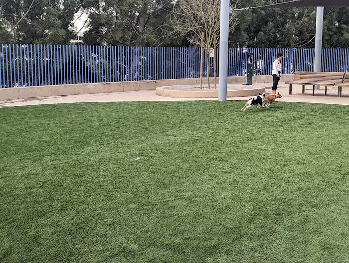 Newport Beach Dog Park 7