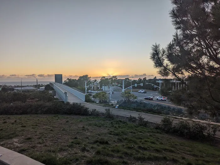 Newport Beach Dog Park 9