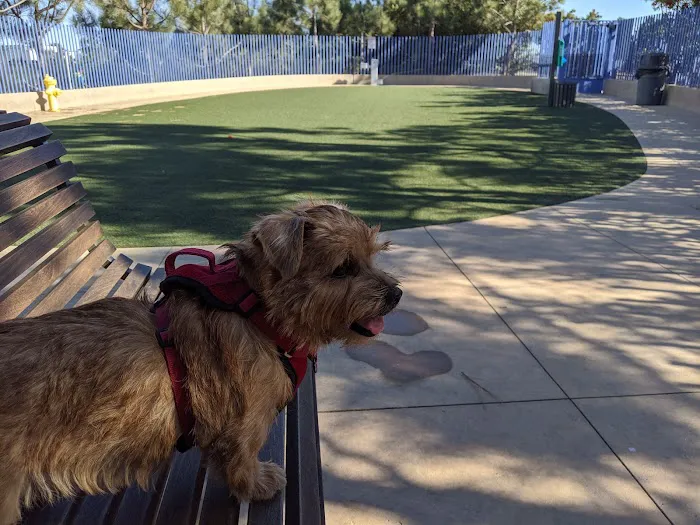 Newport Beach Dog Park 2