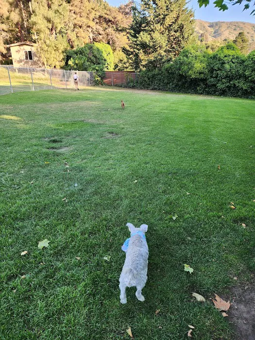 Laguna Beach Dog Park 4