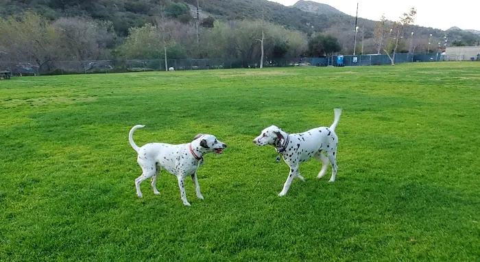 Laguna Beach Dog Park 7