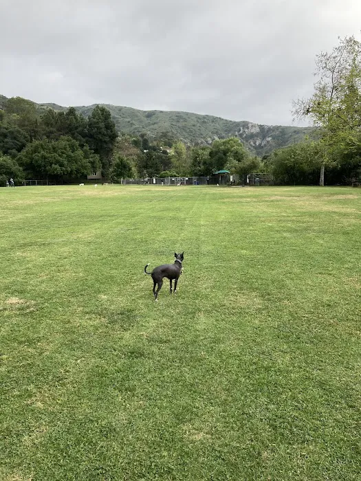 Laguna Beach Dog Park 9