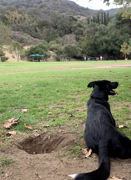 Laguna Beach Dog Park 8