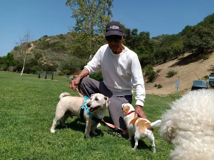 Laguna Beach Dog Park 6