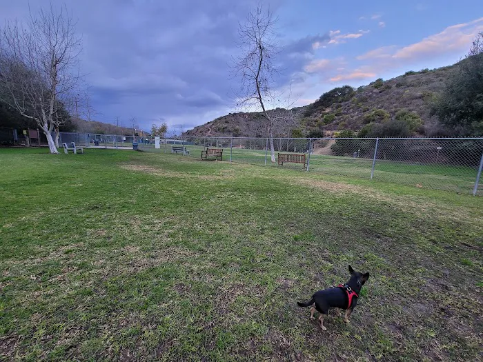 Laguna Beach Dog Park 3