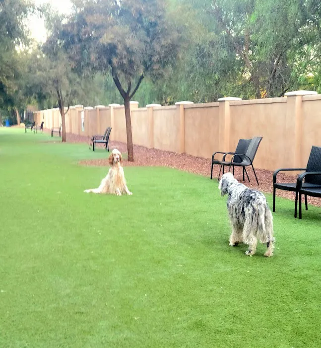 Laguna Woods Dog Park 2