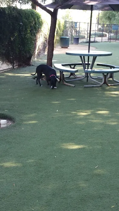Laguna Woods Dog Park 8