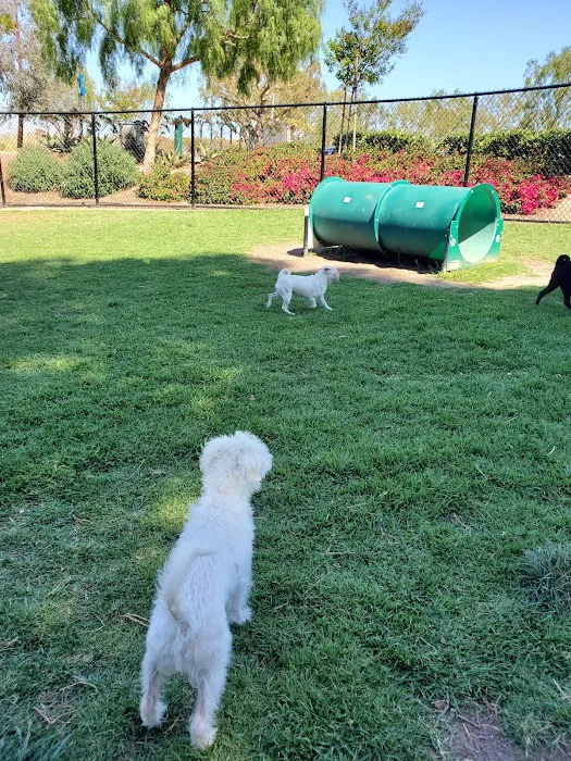 Creekside Park Dog Park 7
