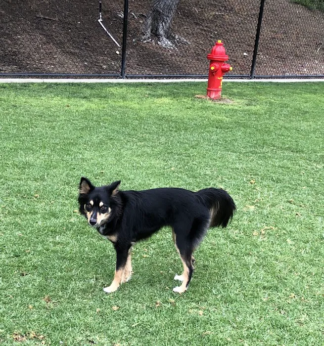Creekside Park Dog Park 6