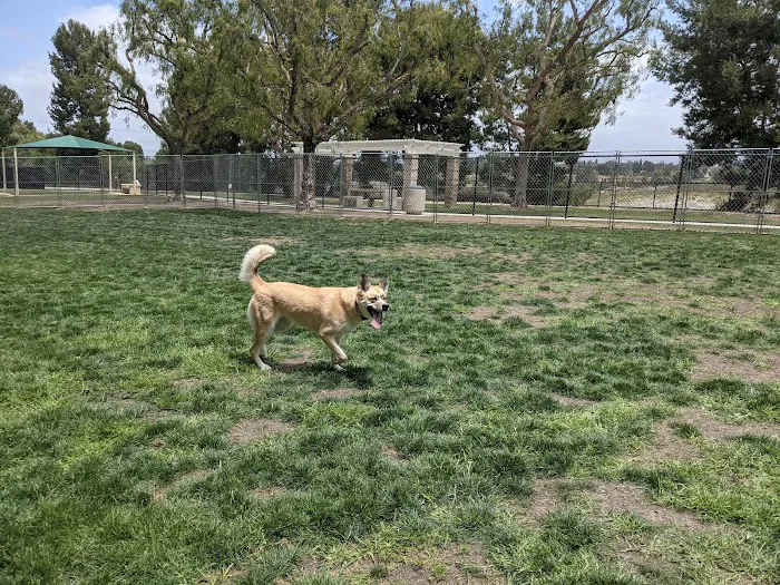 Creekside Park Dog Park 9