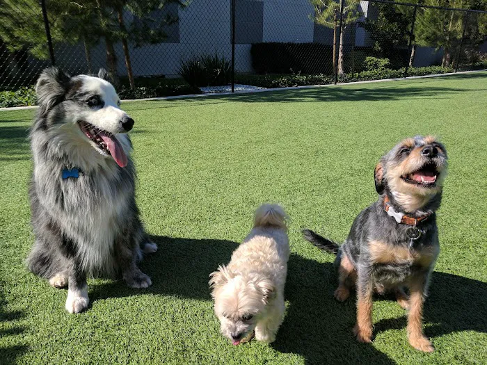 Barker Ranch Dog Park 2