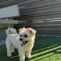 Barker Ranch Dog Park ico