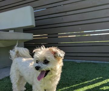 Barker Ranch Dog Park