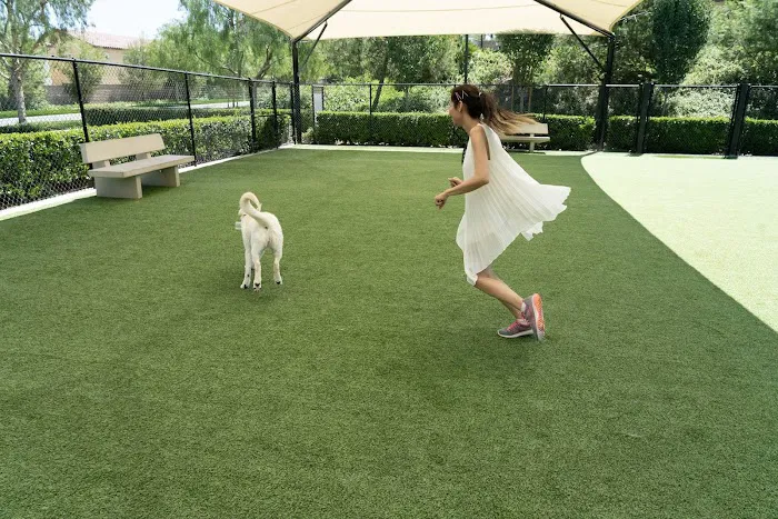 Barker Ranch Dog Park 3